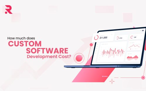 How much does Custom Software Development Cost? 